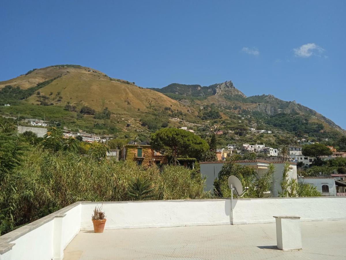 Villa Thomas Bb Conduzione Familiare Forio  Luaran gambar
