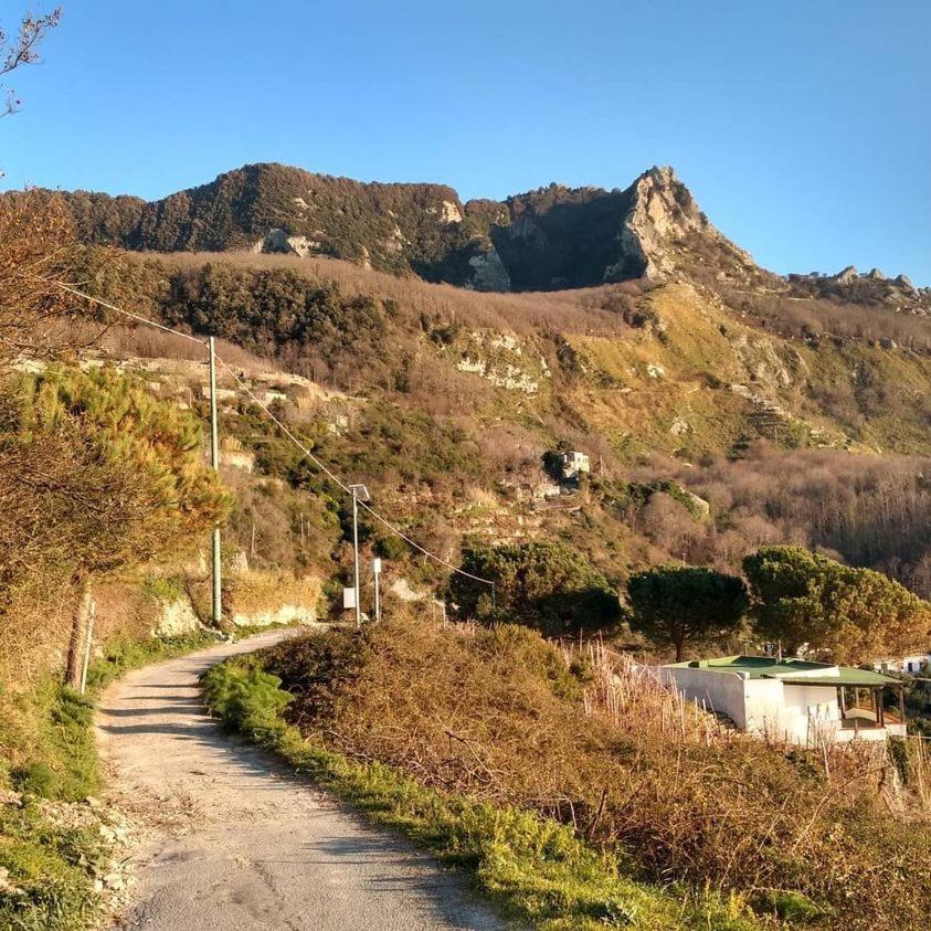 Villa Thomas Bb Conduzione Familiare Forio  Luaran gambar