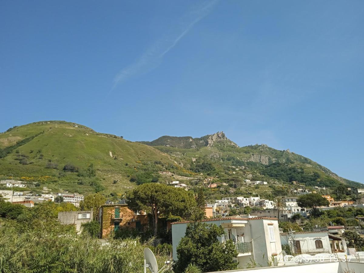 Villa Thomas Bb Conduzione Familiare Forio  Luaran gambar