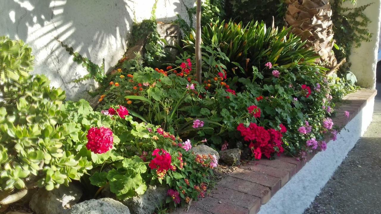 Villa Thomas Bb Conduzione Familiare Forio  Luaran gambar